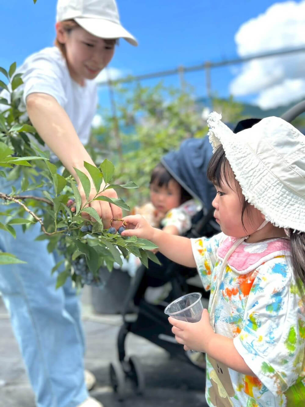 美咲ブルーファーム寒竹