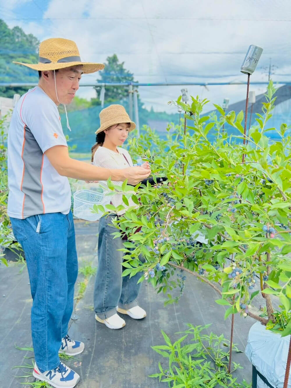 美咲ブルーファーム寒竹