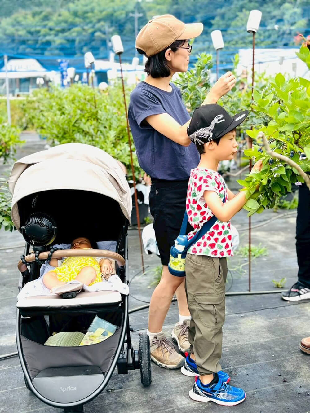 美咲ブルーファーム寒竹