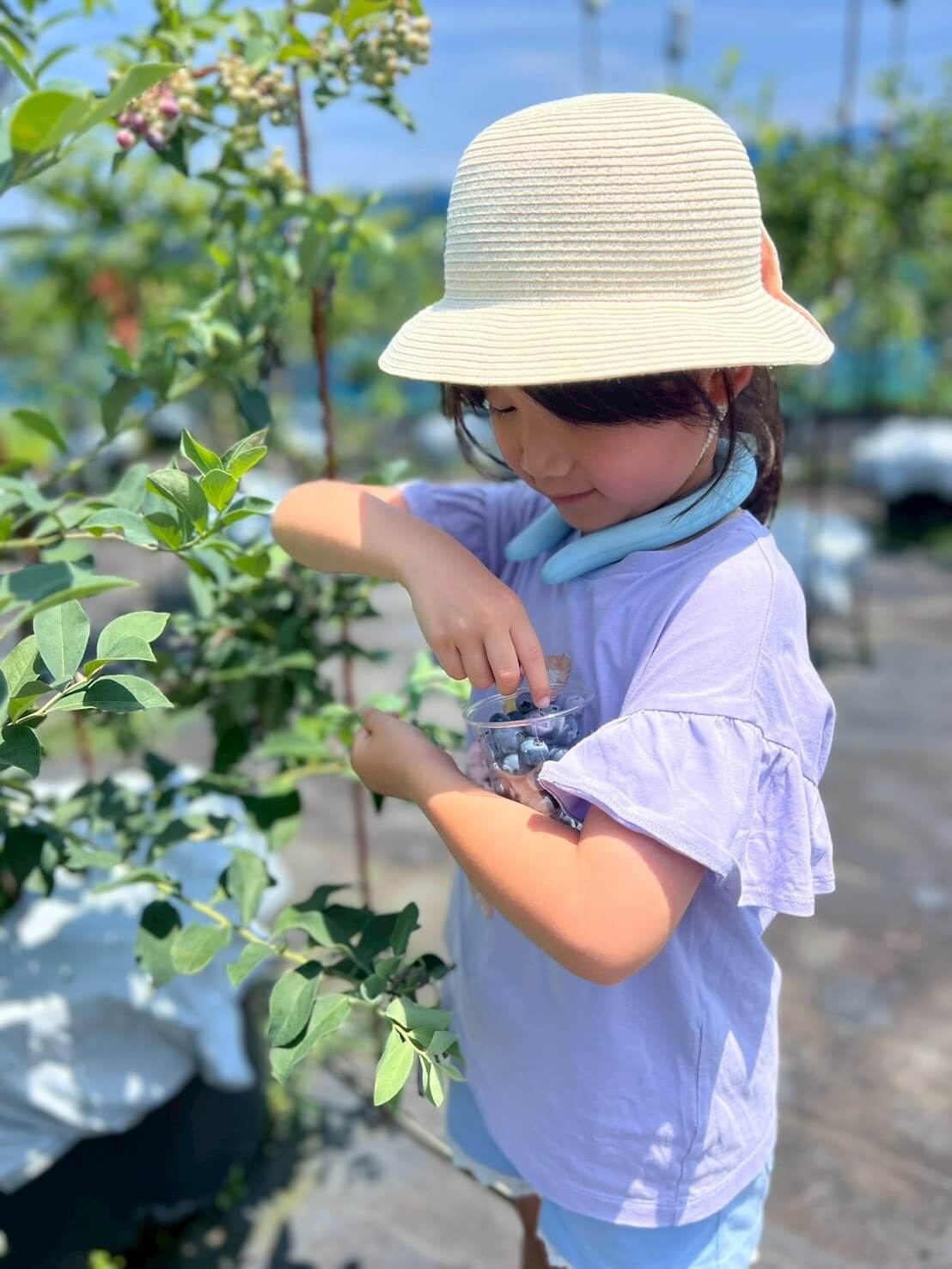 美咲ブルーファーム寒竹